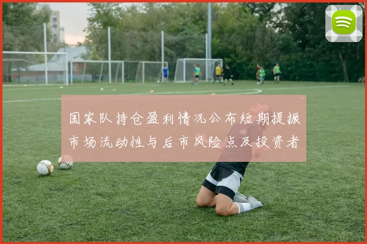 国家队持仓盈利情况公布短期提振市场流动性与后市风险点及投资者应对