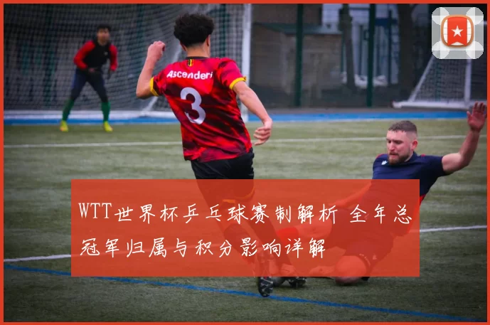 WTT世界杯乒乓球赛制解析 全年总冠军归属与积分影响详解