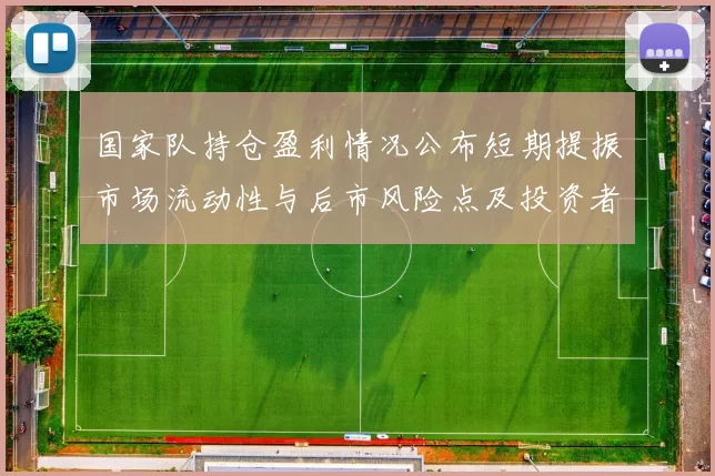 国家队持仓盈利情况公布短期提振市场流动性与后市风险点及投资者应对