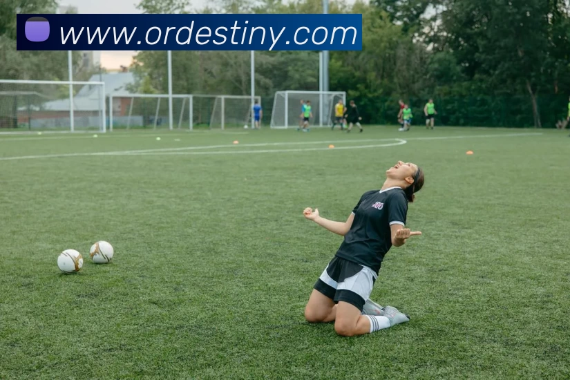 多媒体互动体验